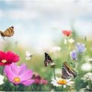 Bundle 2 or more items and Save @Hollafame